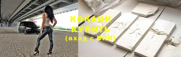 ГАЛЛЮЦИНОГЕННЫЕ ГРИБЫ Горно-Алтайск