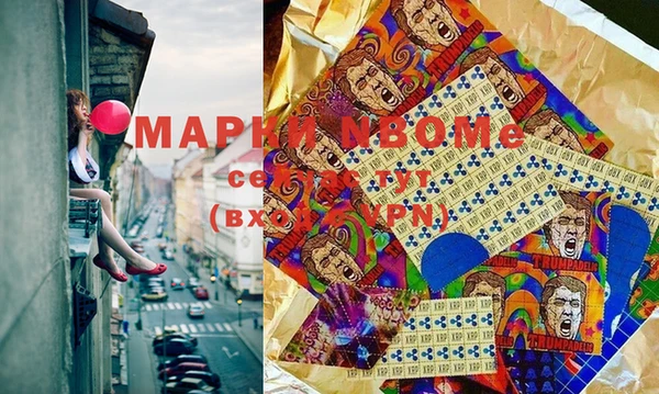 прущие грибы Горняк
