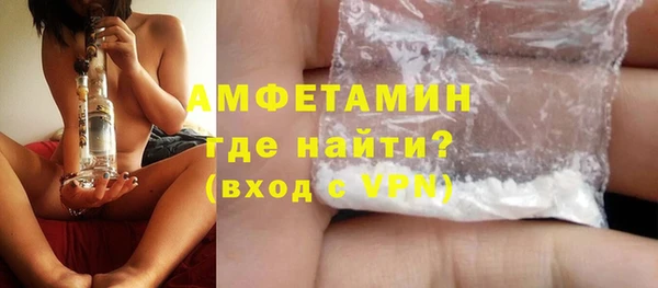 прущие грибы Горняк
