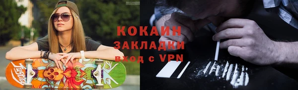прущие грибы Горняк