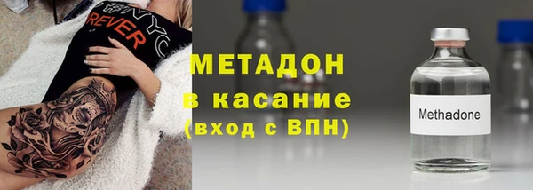 прущие грибы Горняк