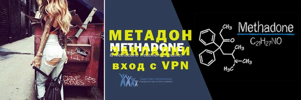 прущие грибы Горняк