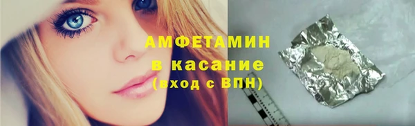 прущие грибы Горняк