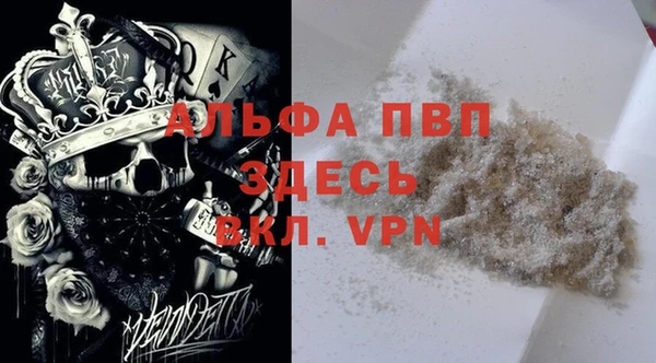 прущие грибы Горняк
