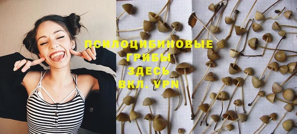 прущие грибы Горняк