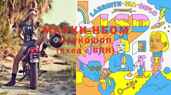 ГАЛЛЮЦИНОГЕННЫЕ ГРИБЫ Горно-Алтайск
