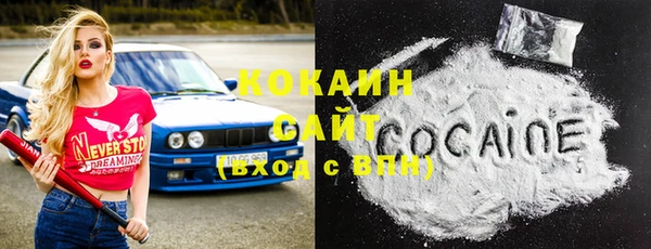 прущие грибы Горняк