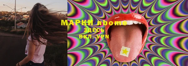 ГАЛЛЮЦИНОГЕННЫЕ ГРИБЫ Горно-Алтайск