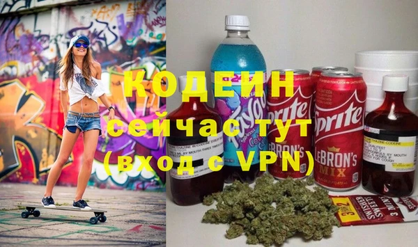 прущие грибы Горняк