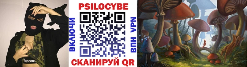 Купить закладки  Колпашево  Псилоцибиновые грибы ЛСД 
